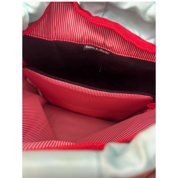 Herschel Supply Company Mint and Grey 14L Backpack - Picture 3 of 9